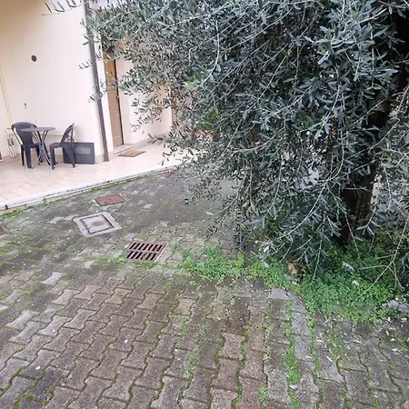Casa Iolanda *